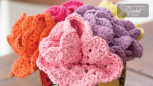 Crochet Banquet Dishcloth