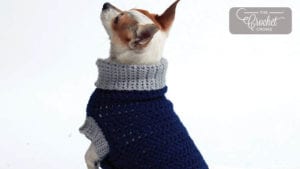 Crochet Dog Coat Heat Wave