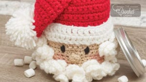 Crochet Jar Santa