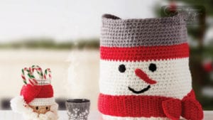 Crochet & Knit for the Party Organizer