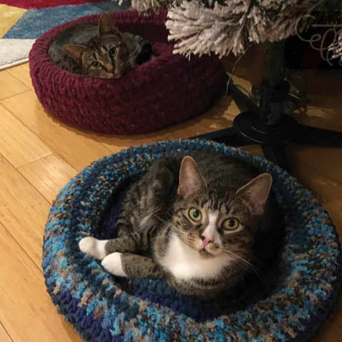 Crochet Padded Rim Pet Beds