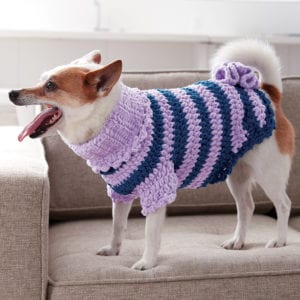 Crochet pet 2024 sweater pattern