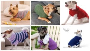 11 Free Crochet Patterns for Dog Sweaters