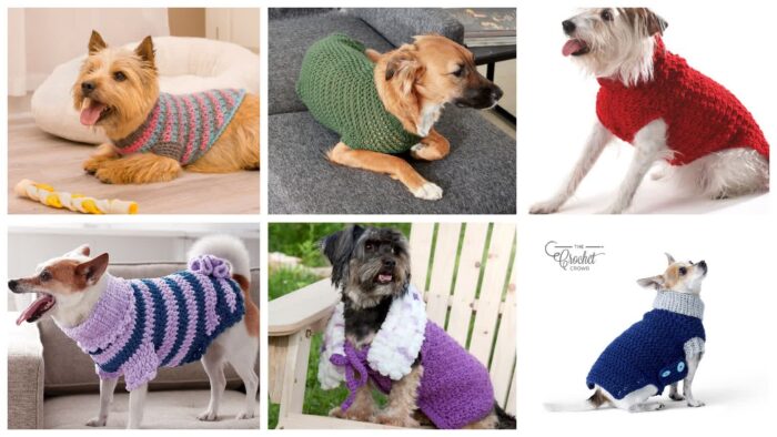 6 Cozy Crochet Dog Sweater Patterns