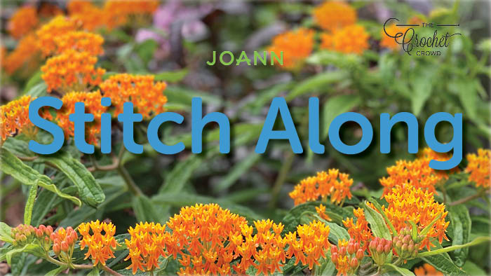 Is There A JOANN Stitch Along for Fall 2022?