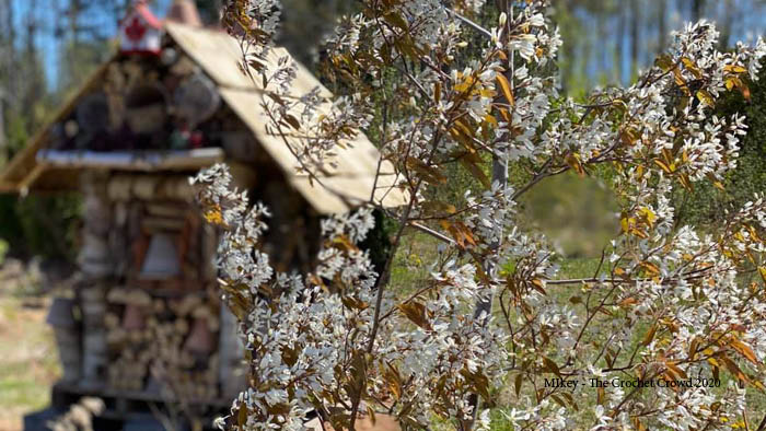 Insect Hotel in the Meadow