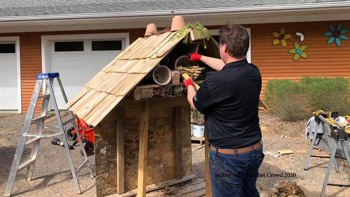 Insect Hotel of Nova Scotia