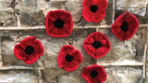 The Poppy Project