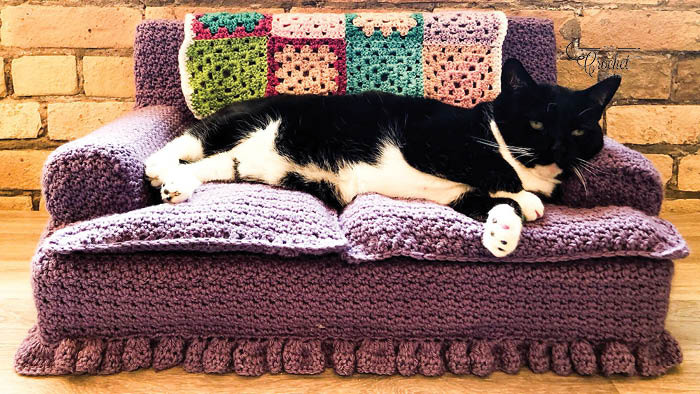 Cat on hot sale the sofa