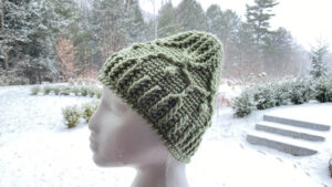 Red Heart Super Saver Green Winter Trellis Crochet Hat