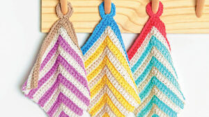 Crochet Dish Stripes