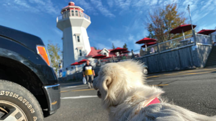 Masstown, Nova Scotia. Daniel Zondervan & PuppiDawg