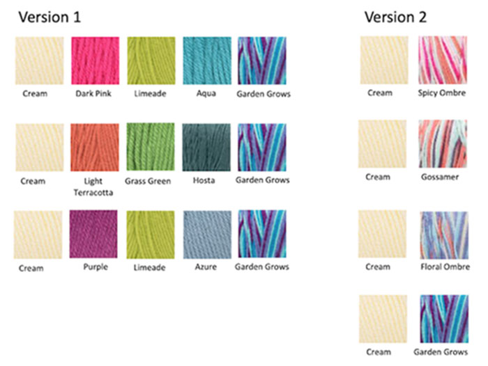 Stitch Along Colour Options