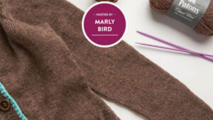 Knit Steeked Cardigan with Marly Bird