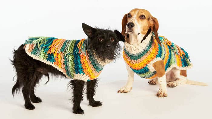 Crochet Happy Camper Dog Coat