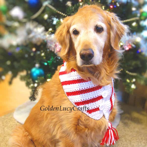 Crochet Christmas Candy Cane Dog Scarf