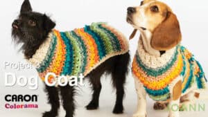 Crochet Dog Coat