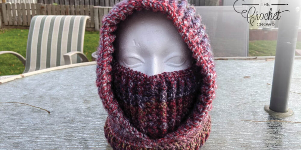 Crohoodie Crochet Cowl and Hoodie Combo by Nancy Elliott