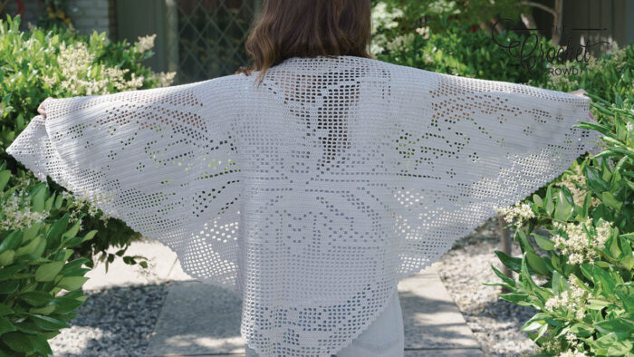 Crochet Butterfly Filet Shawl