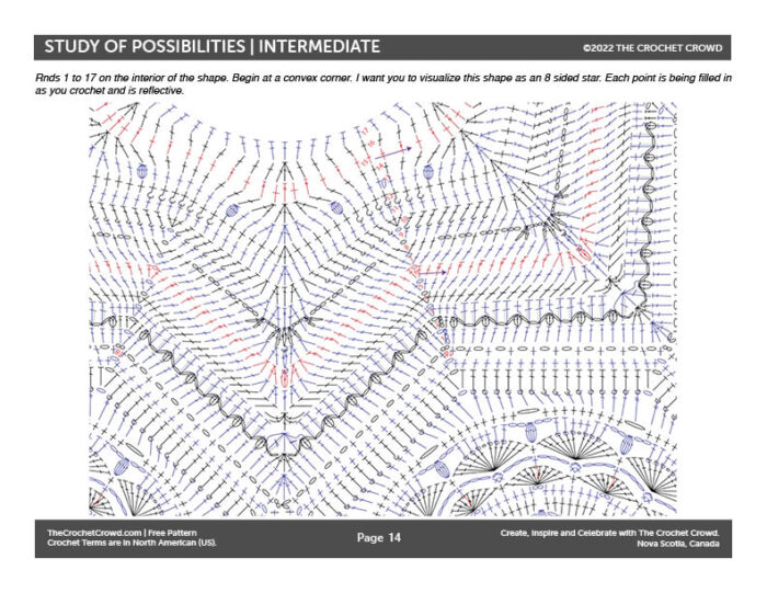 Study of Possibilities Afghan Crochet Diagram