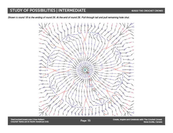 Study of Possibilities Afghan Crochet Diagram