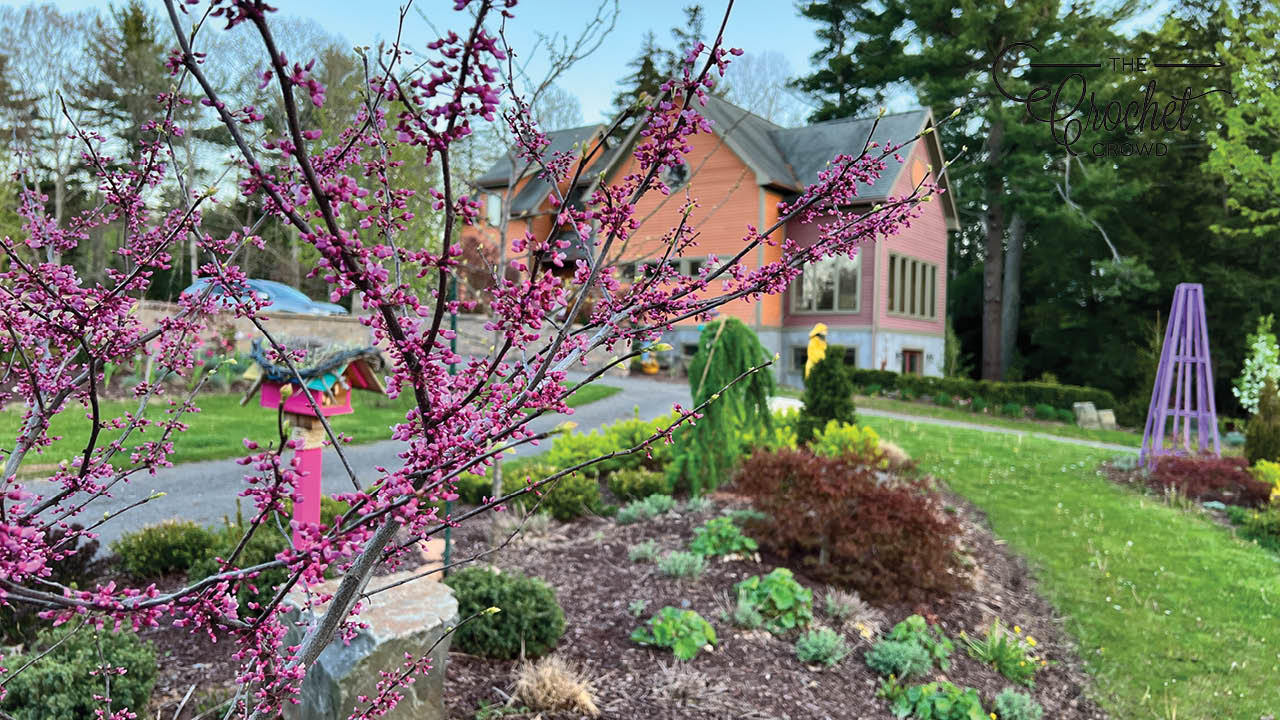 Red Buds Tree