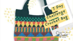 7 Day Crochet Bag Challenge