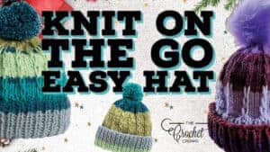 Knit On The Go Easy Hat