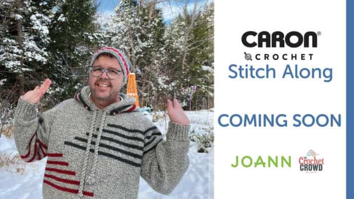 JOANN Stitch Along Coming Soon