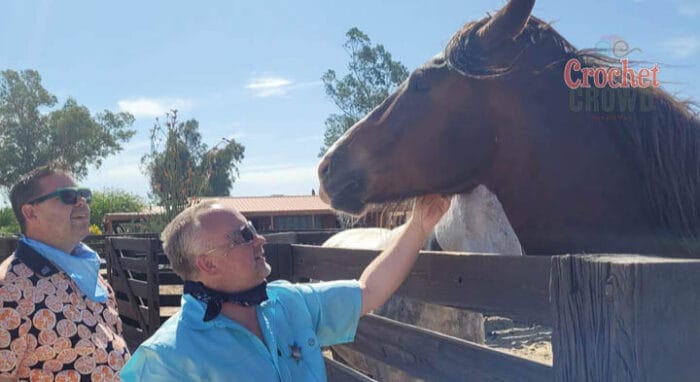 Crochet Mystery Retreat Daniel Petting Horse