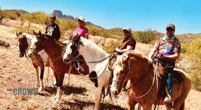 Crochet Mystery Retreat on Horses