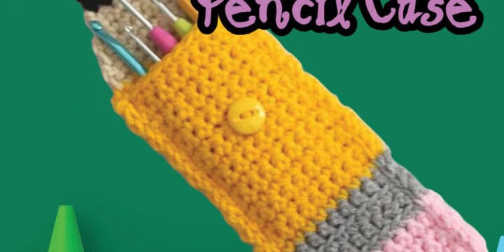 Cute Crochet Pencil Case for Back to School