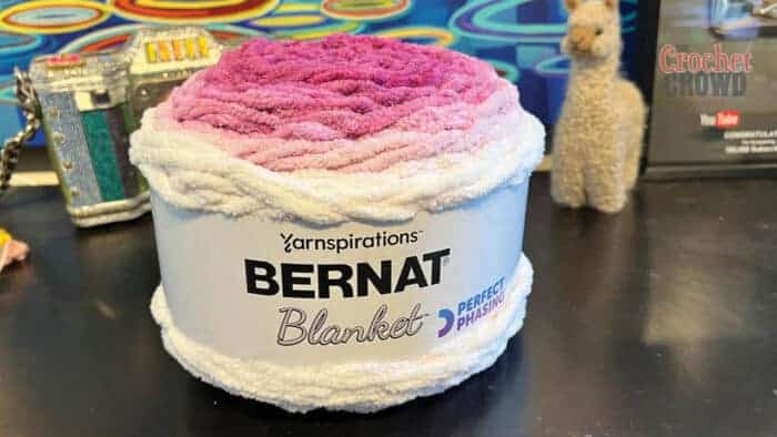 NEW Bernat Blanket Perfect Phasing Yarn