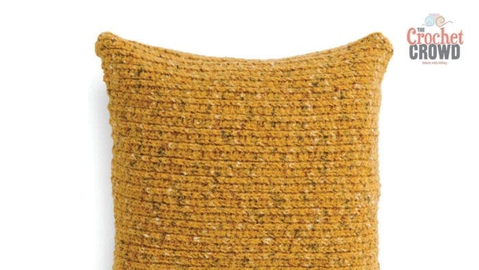 Bernat Felted Crochet Pillow