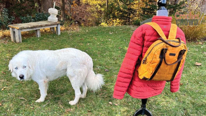 Della Q Maker's Backpack with Salti the Great Pyrenees
