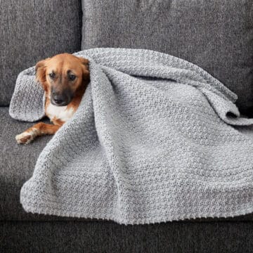 Delight your Pet with a Crochet Dog or Cat Comfort Blanket