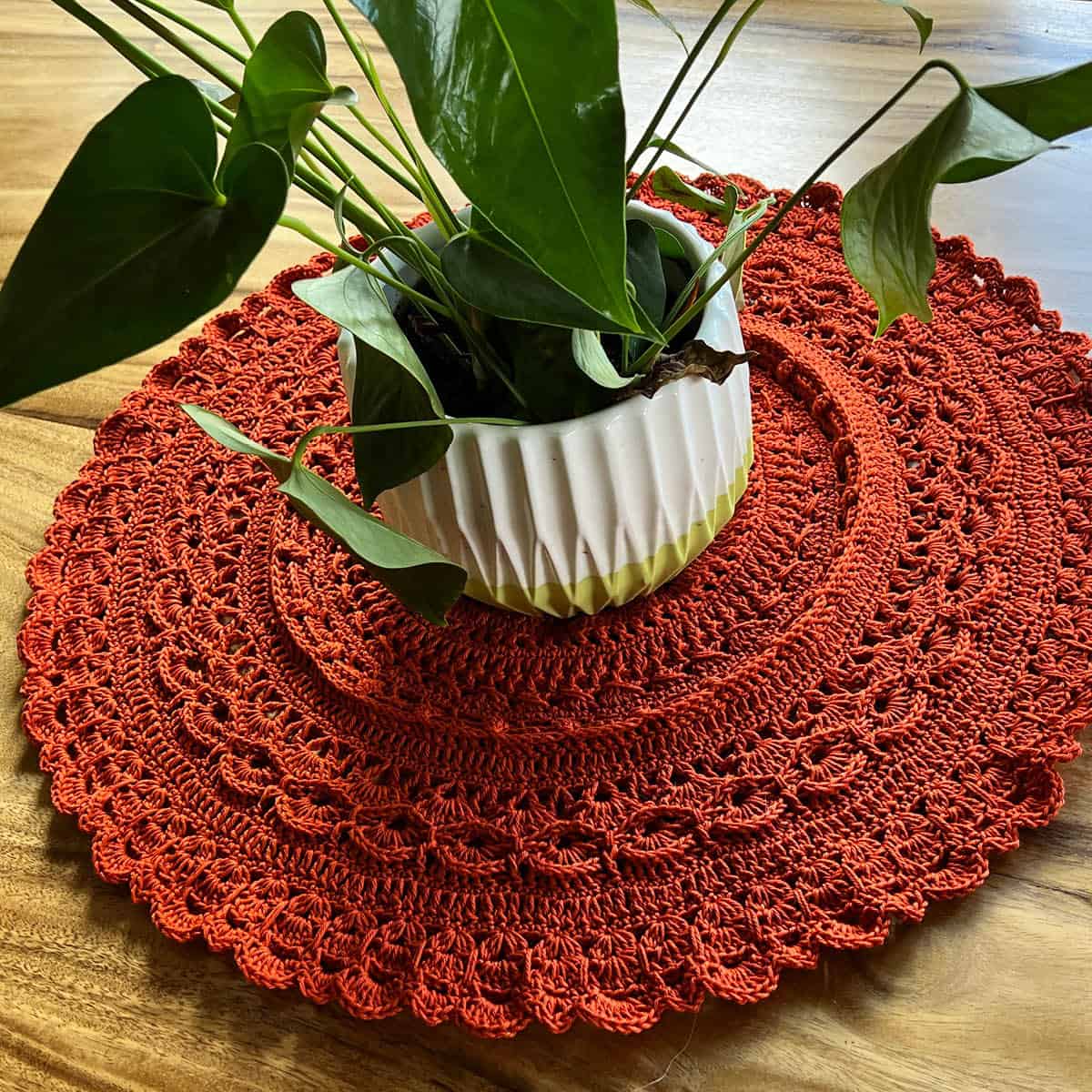 Crochet Study of Rage Doily with Plant