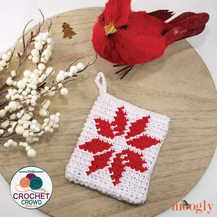 Crochet Nordic Star Pouch Pattern by Moogly