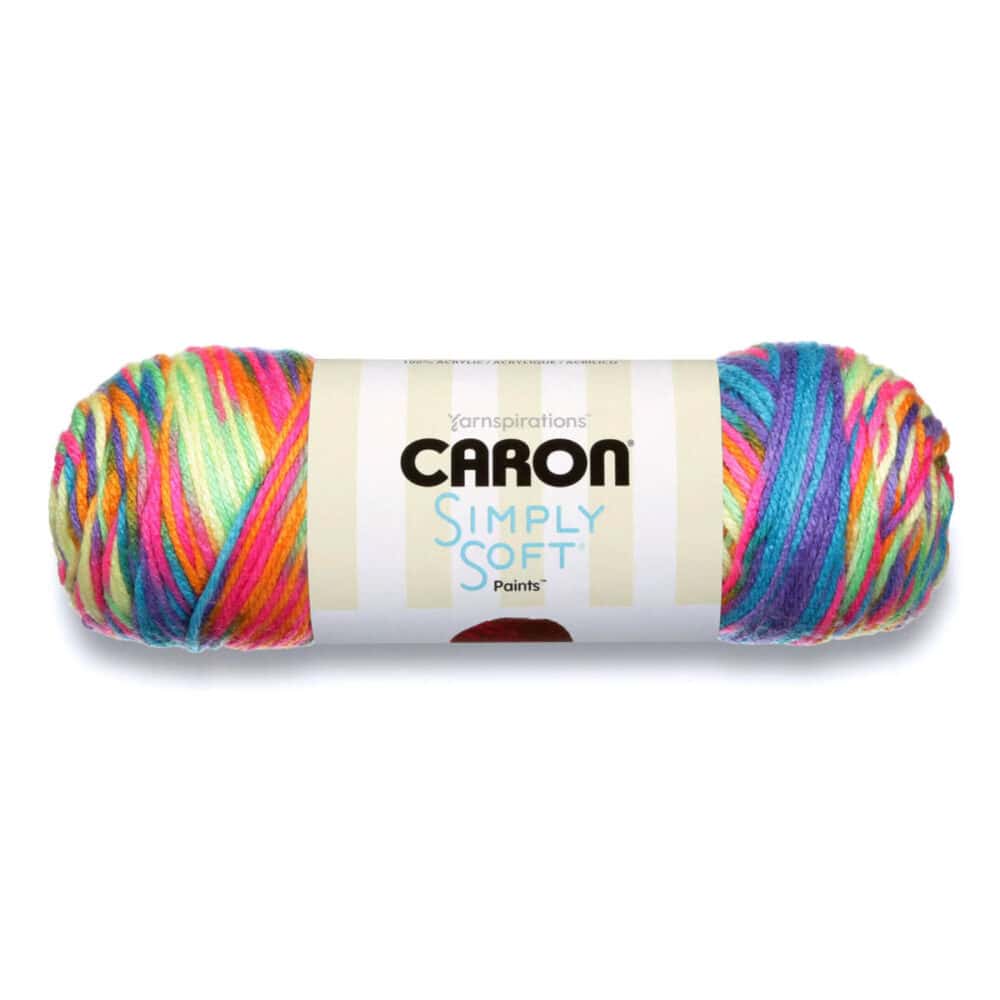 Caron Simply Soft Paints Product