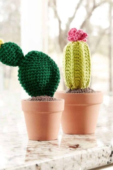 Crochet Cactus Plants Pattern