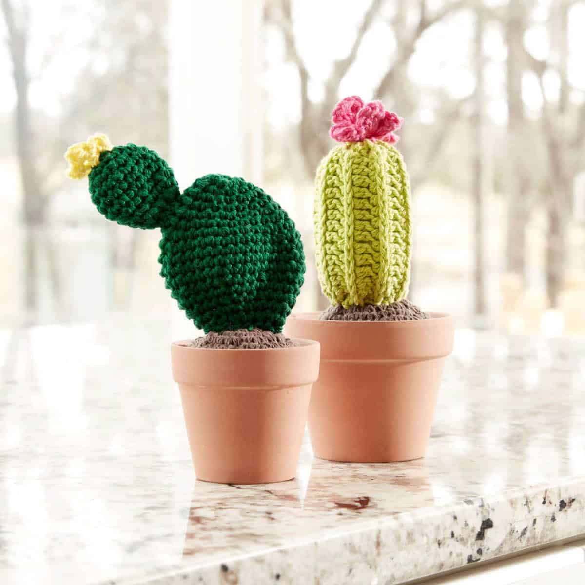 Crochet Cactus Plants Pattern