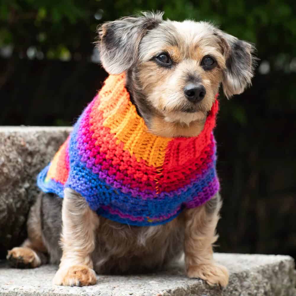 Pup Favorite Crochet Sweater Pattern