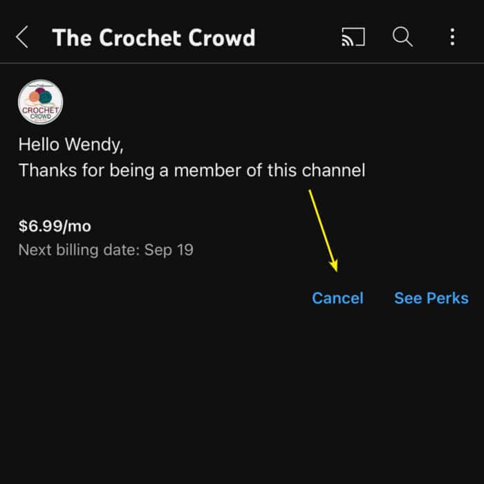 Cancel of The Crochet Crowd YouTube Membership