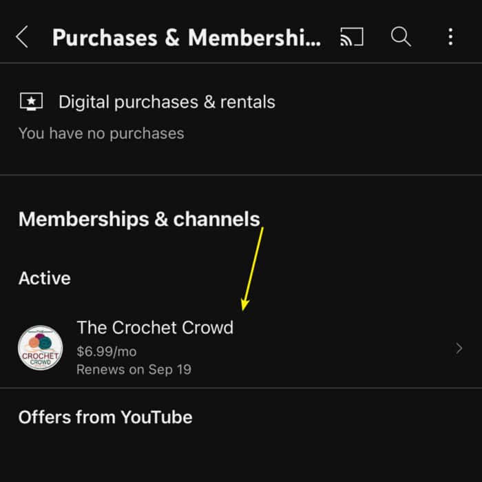 Shows the Memberships on Mobile for YouTube