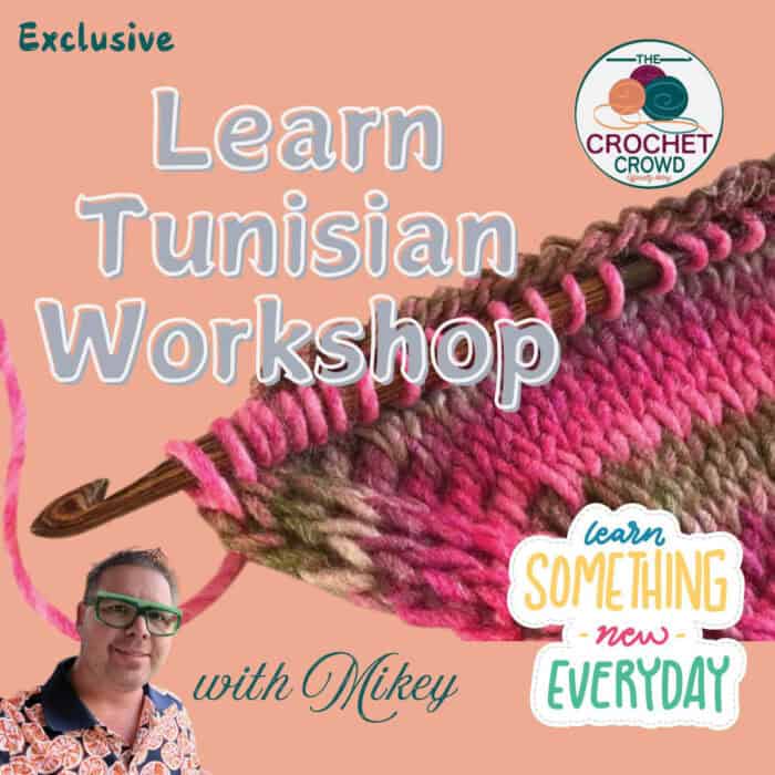 Learn Tunisian With The Crochet Crowd