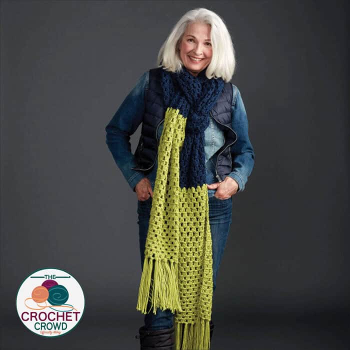 Crochet Granny Takes a Dip Caron Free Crochet Pattern