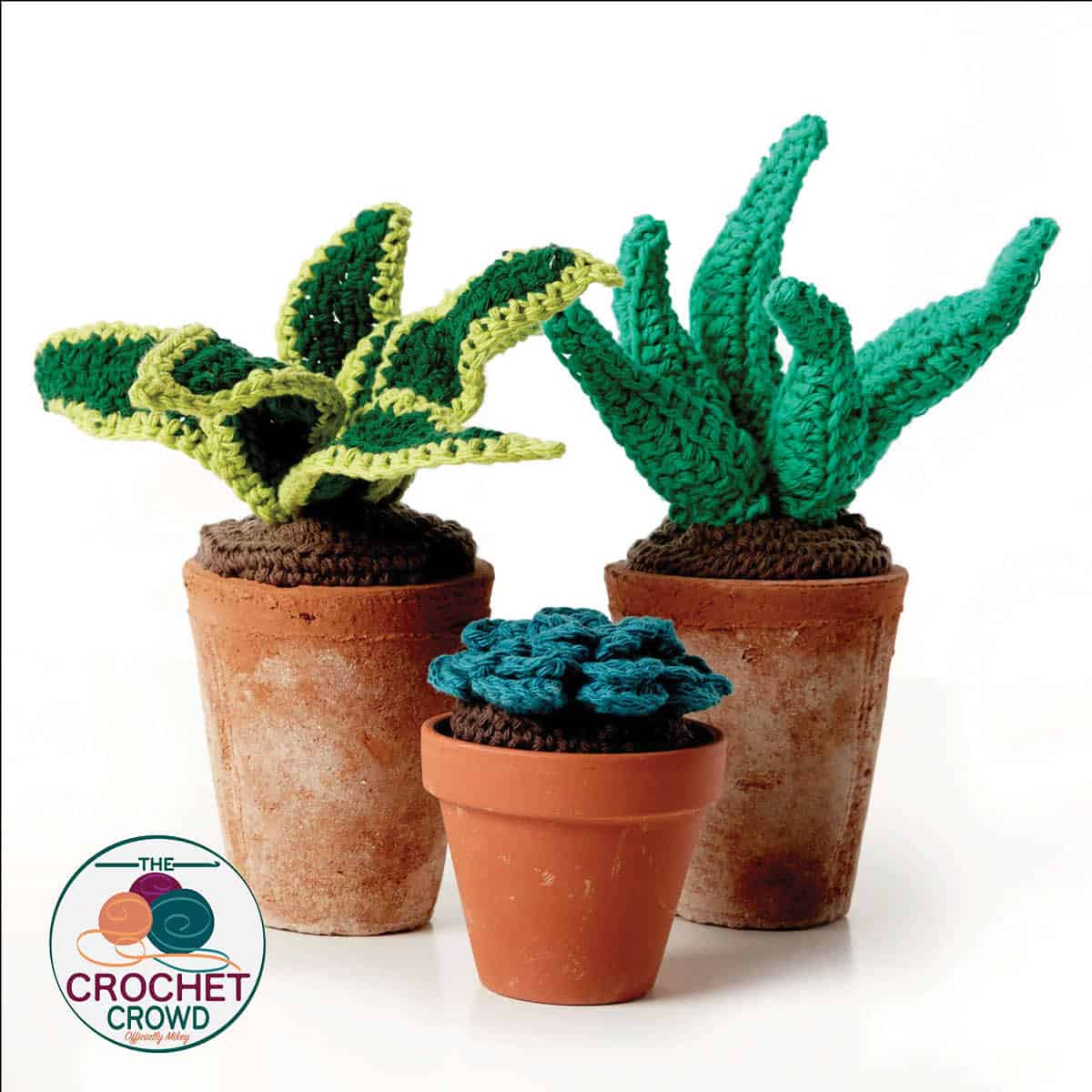 Free Crochet Succulents Plant Patterns with Tutorial