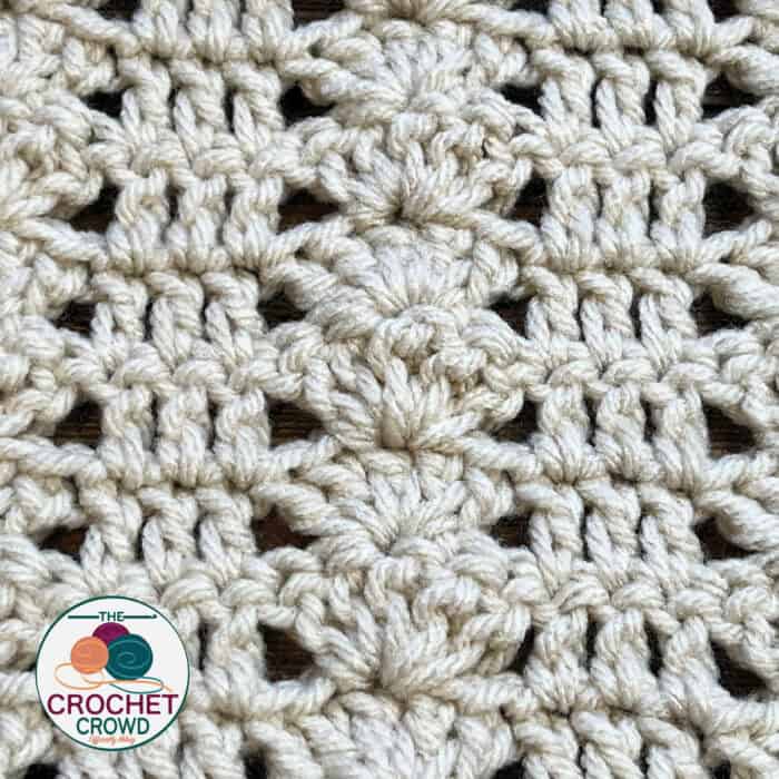 Crochet Shells Lined Up Caron Simply Soft Shawl Pattern
